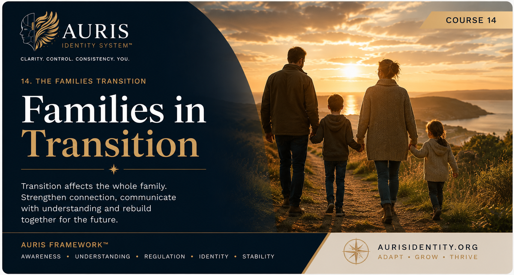 The Family's Transition cover: a family of four walking hand in hand along a coastal path at sunset, beside the words Families in Transition.