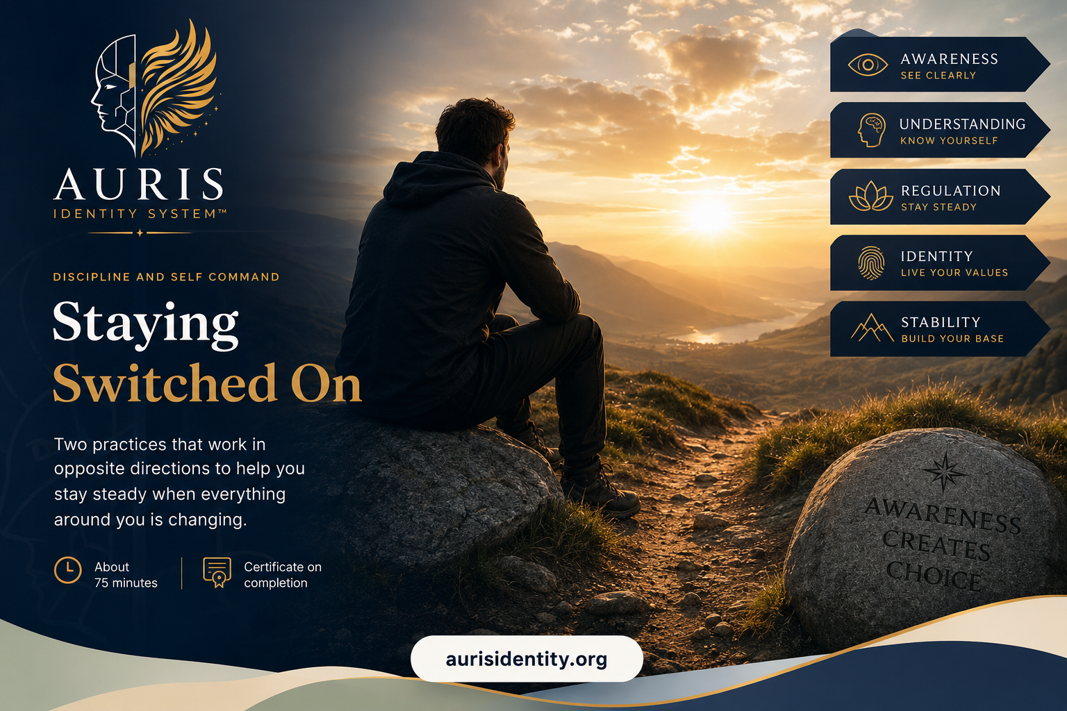 Staying Switched On cover: a man sitting on a rock at sunrise looking over a valley, beside a stone carved Awareness creates choice, with the five AURIS pillars listed and the words Staying Switched On.